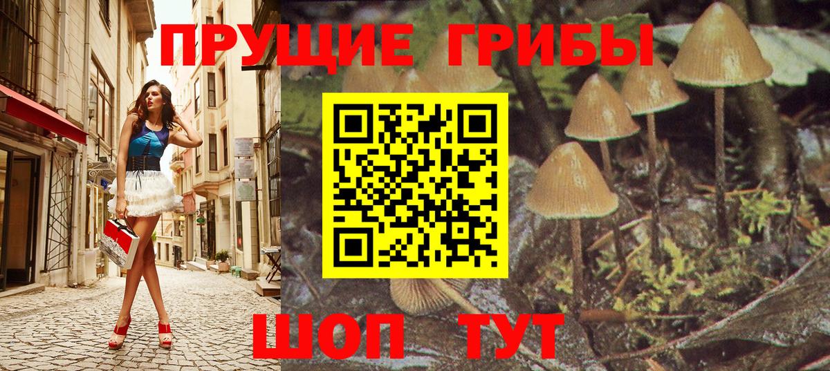 Псилоцибиновые грибы Psilocybine cubensis  Вход с VPN  Снежинск 